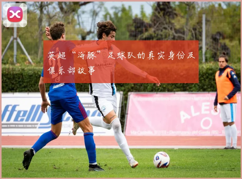 英超“海豚”足球队的真实身份及俱乐部故事